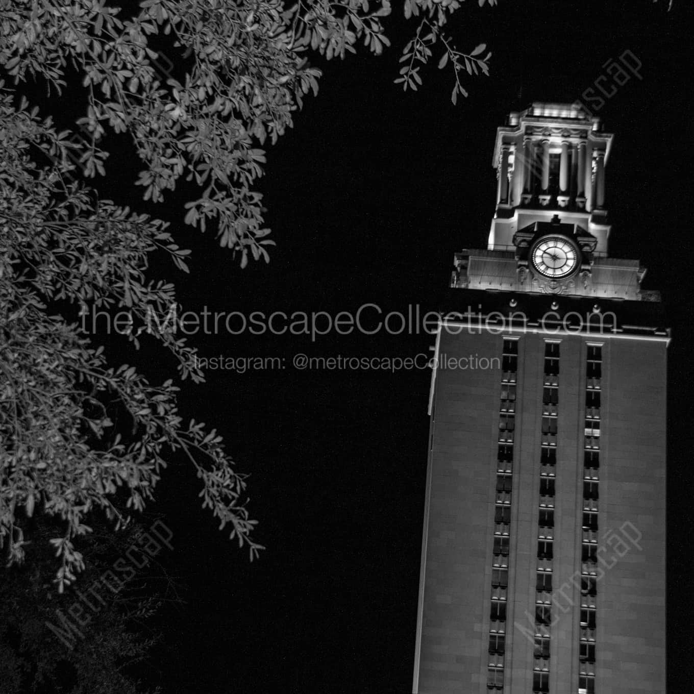The UT Tower at Night architecture black and white Photography The UT Tower at Night architecture black and white Photography square crop