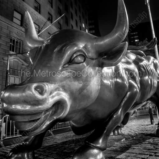 The Bowling Green Bull -- New York City Black and White Photography