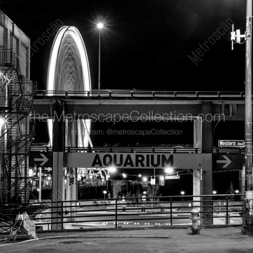The Seattle Ferris Wheel at Night -- Seattle Black and White Photography