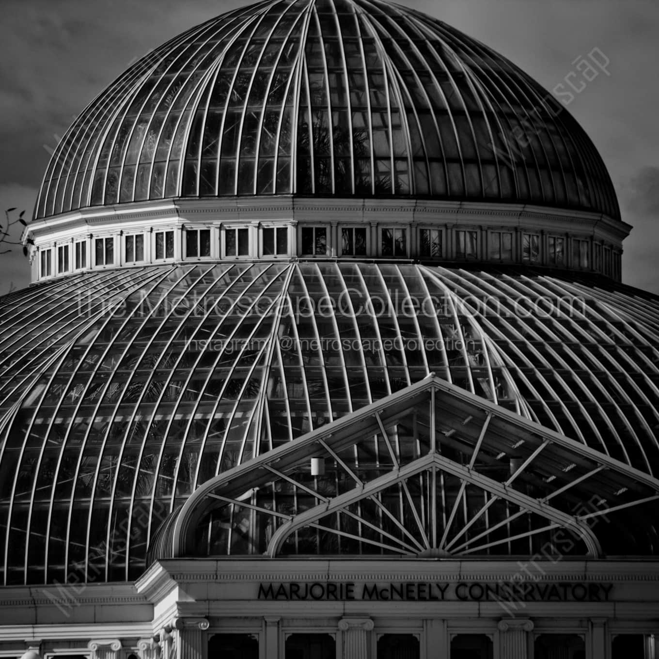 The Marjorie McNeely Conservatory architecture black and white Photography The Marjorie McNeely Conservatory architecture black and white Photography square crop