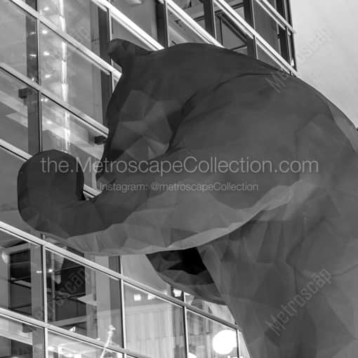 Denver Black and White Photography of The Big Blue Bear at the Denver Convention Center The Big Blue Bear at the Denver Convention Center -- Denver Black and White Photography
