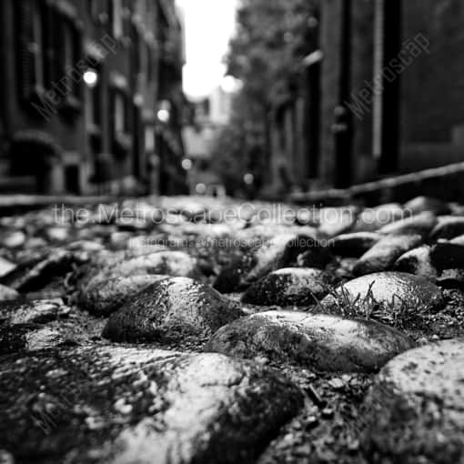 The Cobblestones on Acorn Street -- Boston Black and White Framed Photos
