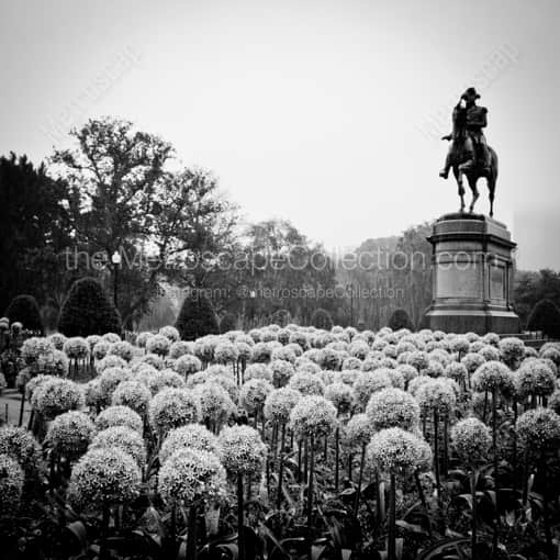 The George Washington Equestrian Statue in a Rainy Public Garden -- Boston Black and White Framed Photos