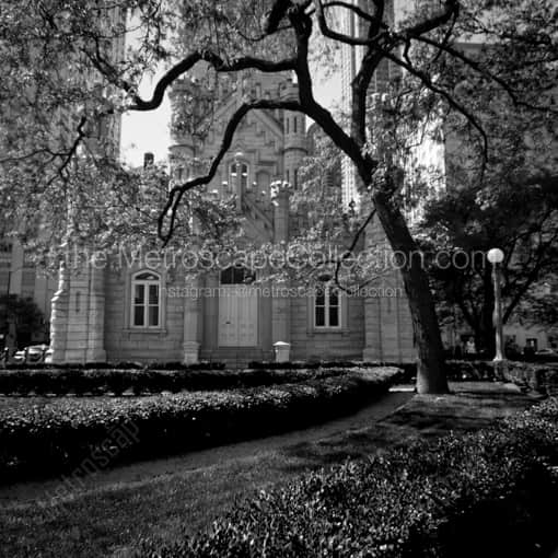 Matte Black WOOD Framed Black and White Chicago Photograph: Spring in Chicago in a Square Matte Black Wood Frame