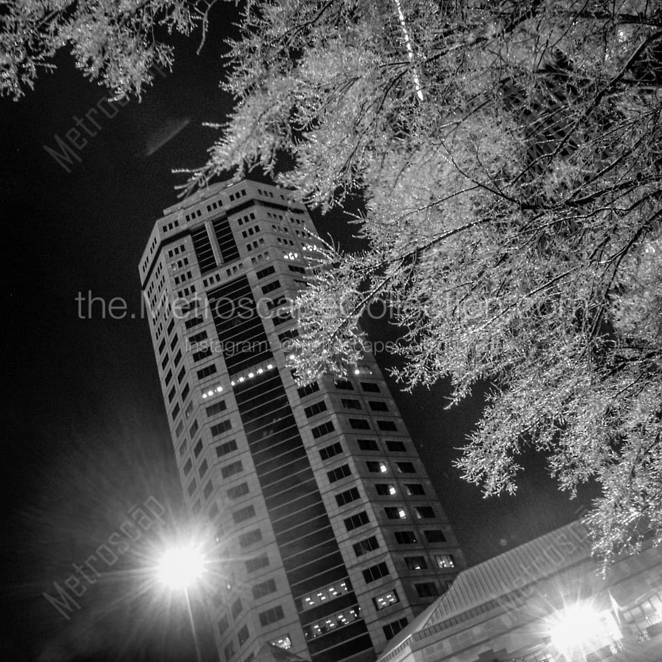 The Riffe Center Engulfed by Frozen Trees Framed Photos square crop