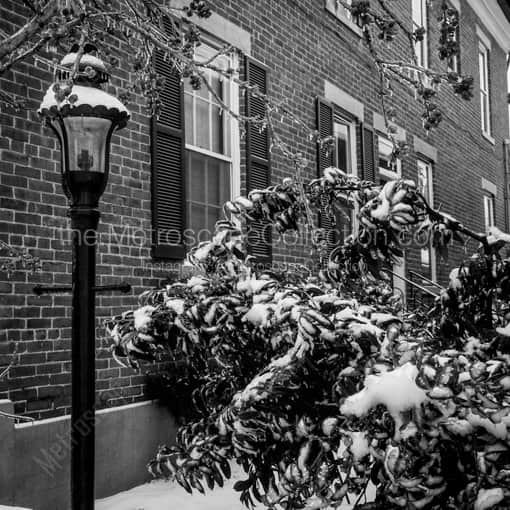 Matte Black WOOD Framed Black and White Columbus Photograph: A Snowy German Village Home in a Square Matte Black Wood Frame