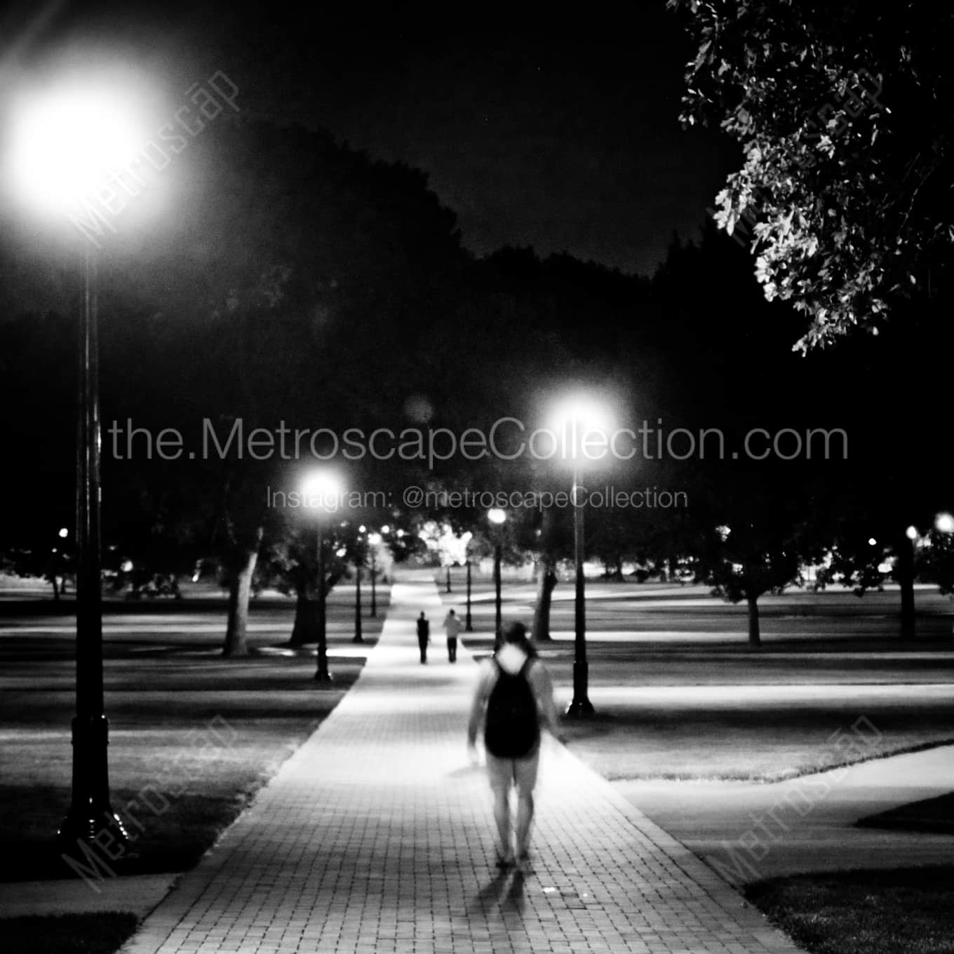 The Oval on the Campus of THE Ohio State University Framed Photos square crop
