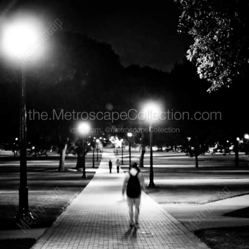 Matte Black WOOD Framed Black and White Columbus Photograph: The Oval on the Campus of THE Ohio State University in a Square Matte Black Wood Frame