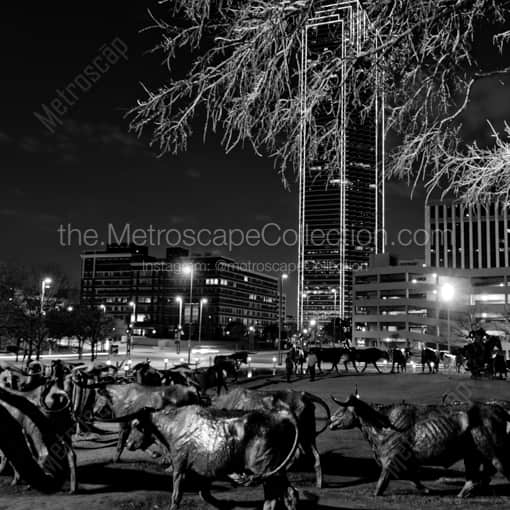 The Bronze Cattle Drive in Dallas -- Dallas Black and White Framed Photos