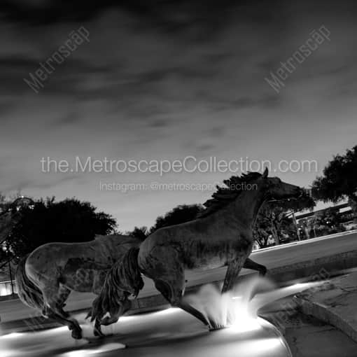 The Mustangs of Las Colinas -- Dallas Black and White Framed Photos