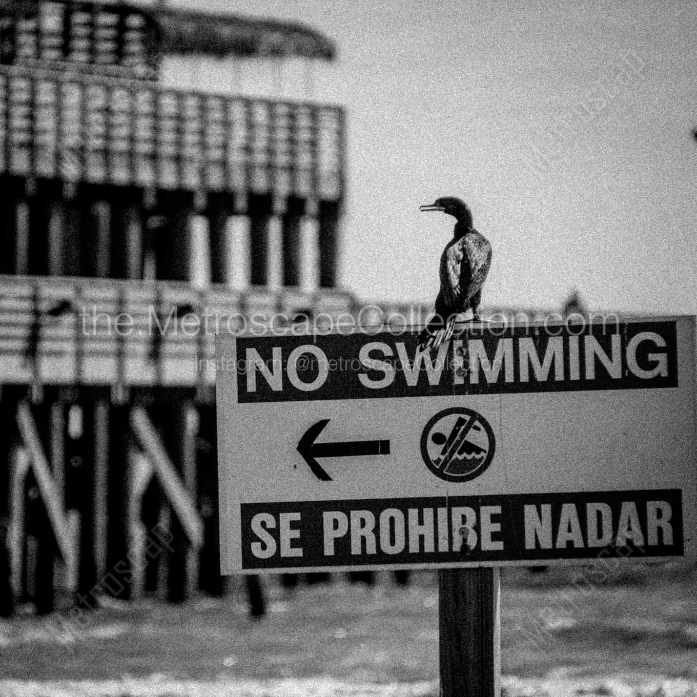 Se Prohibe Nadar Framed Photos square crop