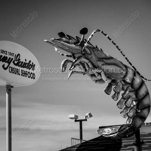 Hey George The Ocean Called -- Galveston Black and White Framed Photos