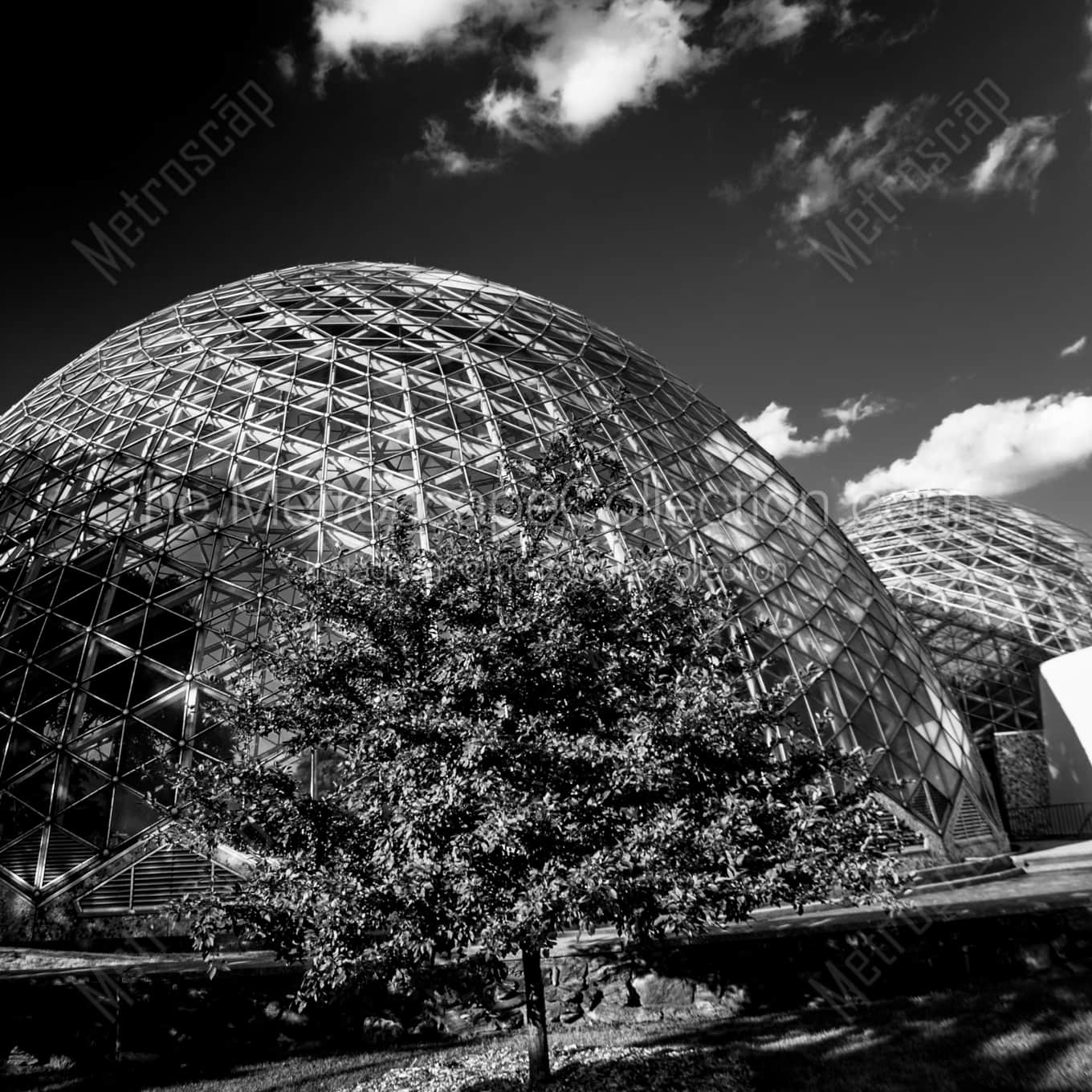 The Mitchell Park Domes Framed Photos The Mitchell Park Domes Framed Photos square crop