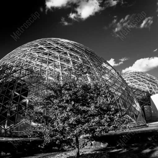 The Mitchell Park Domes -- Milwaukee Black and White Framed Photos