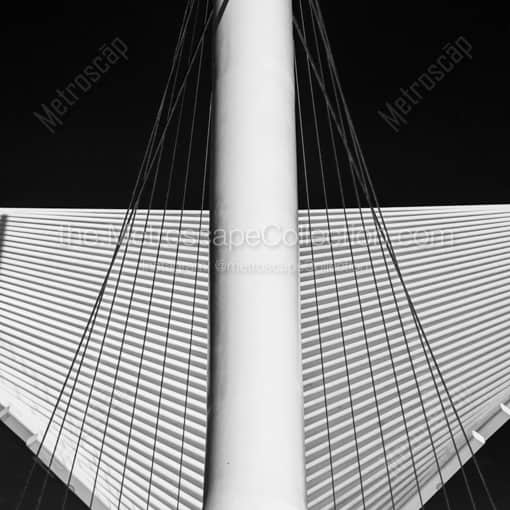 The Wings on the Milwaukee Art Museum -- Milwaukee Black and White Framed Photos