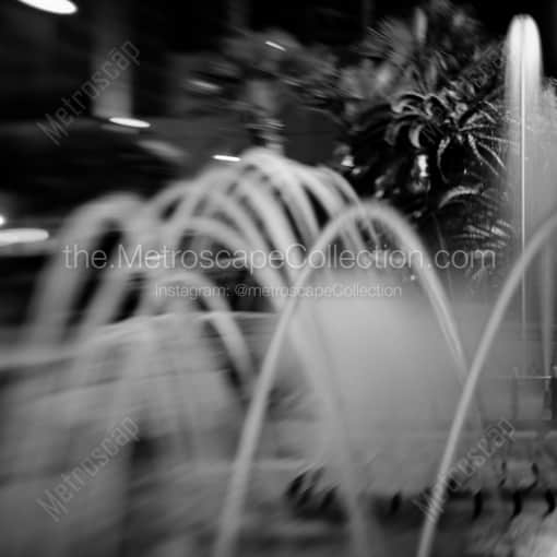 The Fountains at Harrahs -- New Orleans Black and White Framed Photos