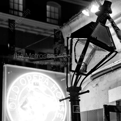 A Hurricane Damaged Street Lamp -- New Orleans Black and White Framed Photos