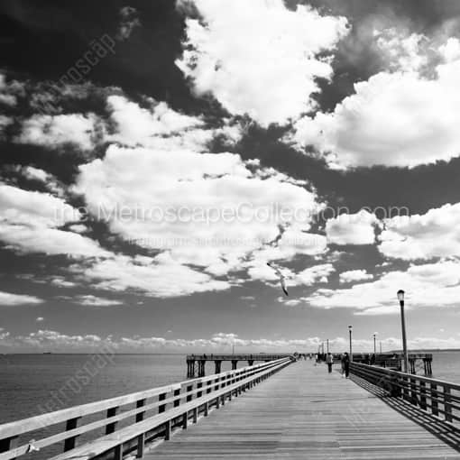New York City Framed Photographs of A Sea Gull Swoops Down on to the Coney Island Pier A Sea Gull Swoops Down on to the Coney Island Pier -- New York City Black and White Framed Photographs