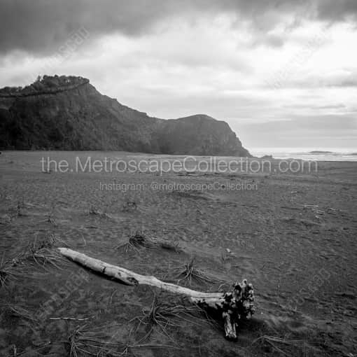 The Samuel H Boardman State Park -- Oregon Coast Black and White Framed Wall Decor