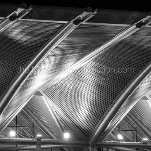 The Stainless Steel Canopy of the Dr Phillips Performing Arts Center -- Orlando Black and White Framed Photos