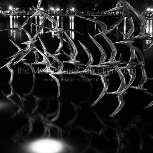 Seagulls Sculpture in Lake Eola -- Orlando Black and White Framed Photos