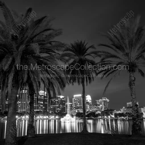 The Orlando Skyline behind Palm Trees at Night -- Orlando Black and White Framed Photos