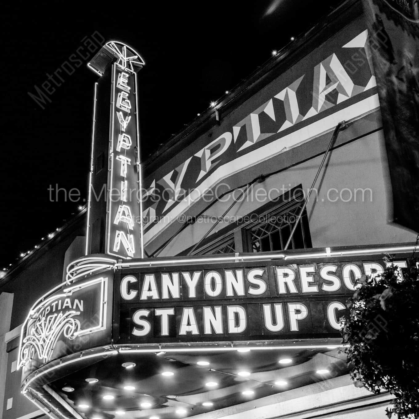 The Egyptian Theater at Night Framed Photos square crop