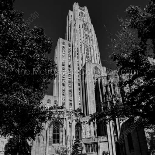 Matte Black WOOD Framed Black and White Pittsburgh Photograph: The Cathedral of Learning in a Square Matte Black Wood Frame