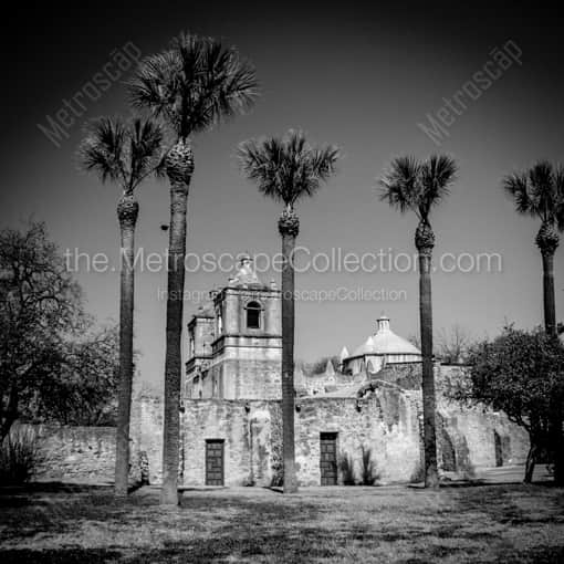 Mission Concepcion -- San Antonio Black and White Framed Photos
