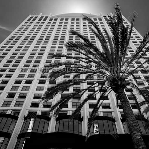 The Manchester Grand Hyatt in San Diego -- San Diego Black and White Framed Photos