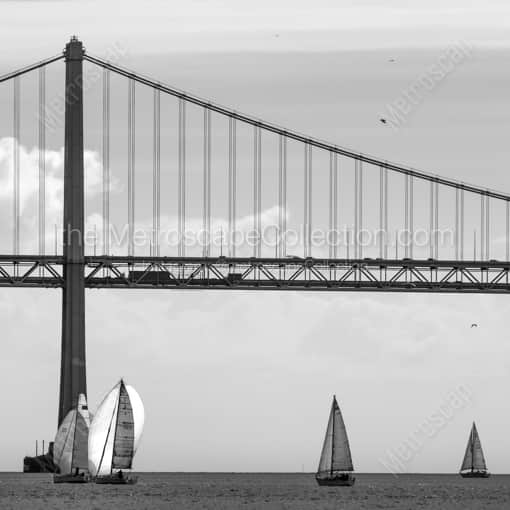 San Francisco Framed Photos of Double Sets of Sail Boats under the San Francisco Bay Bridge Double Sets of Sail Boats under the San Francisco Bay Bridge -- San Francisco Black and White Framed Photos