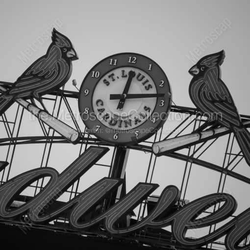 The St Louis Cardinals Clock in Busch Stadium -- St Louis Black and White Framed Photos