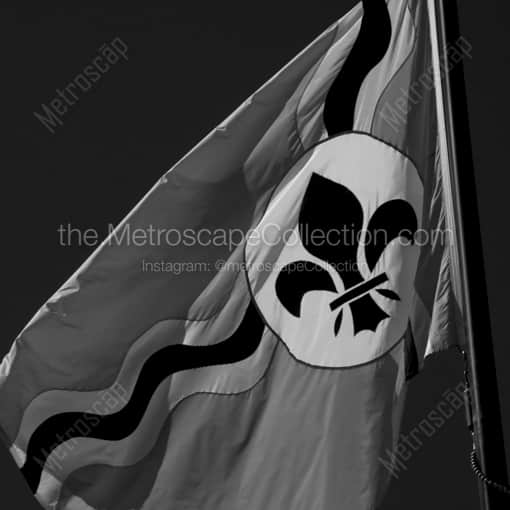 The City of St Louis Flag -- St Louis Black and White Framed Photos