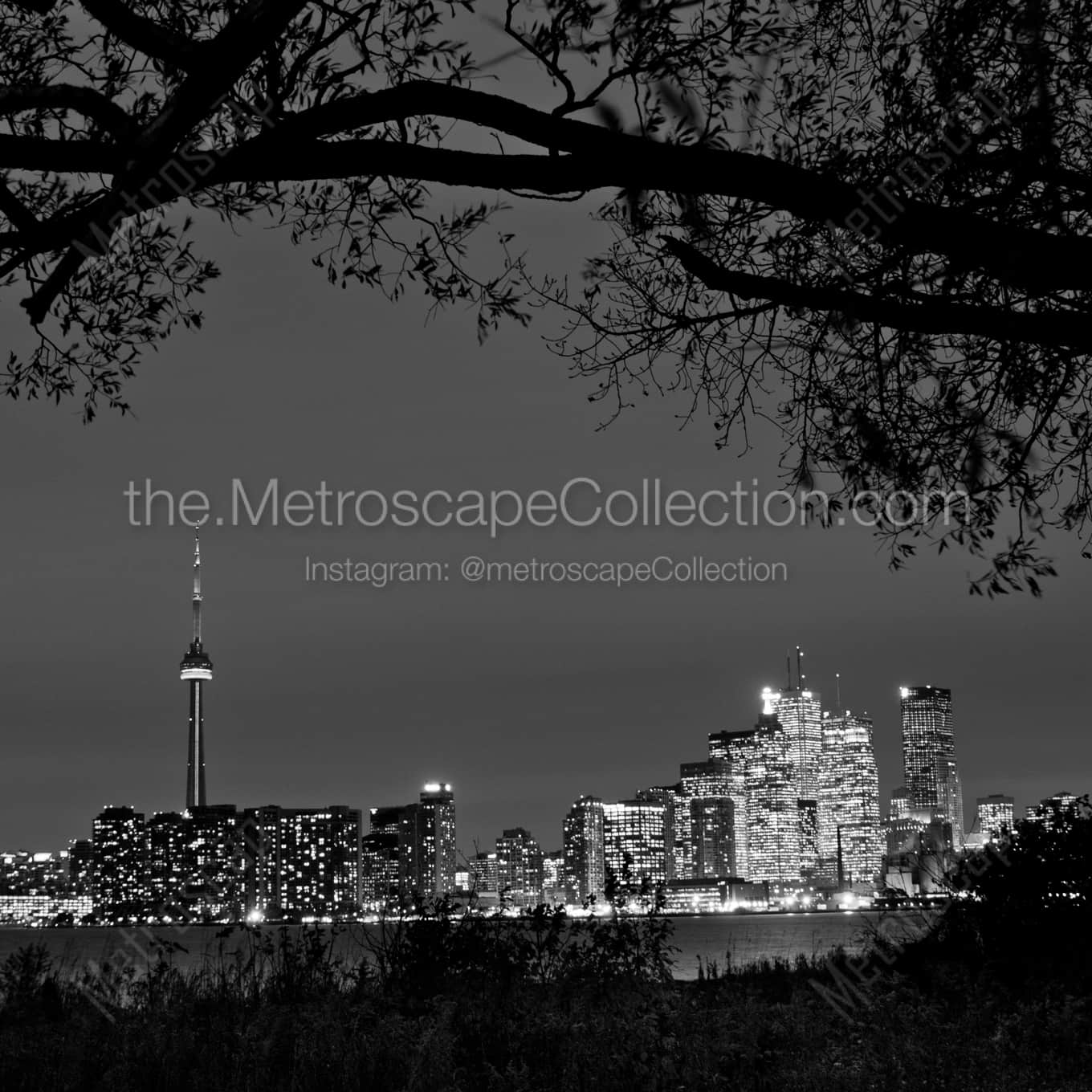 The Toronto Skyline at Night Framed Photos The Toronto Skyline at Night Framed Photos square crop