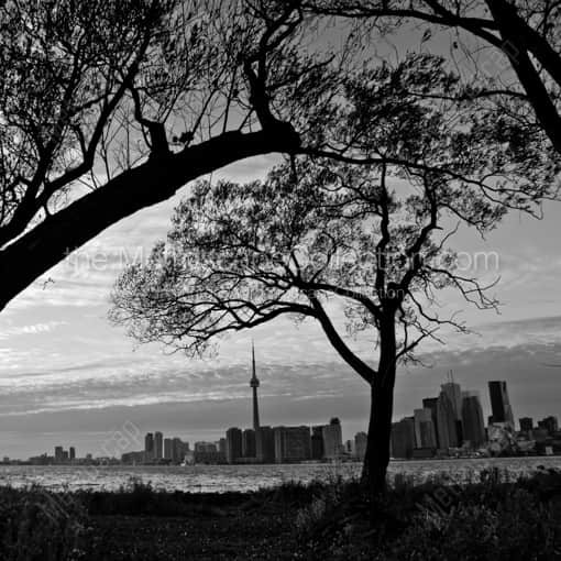 Toronto from Wards Island -- Toronto Black and White Framed Photos