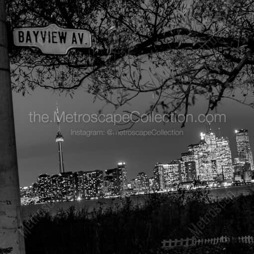 The Toronto Skyline from Bayview Ave on Wards Island -- Toronto Black and White Framed Photos