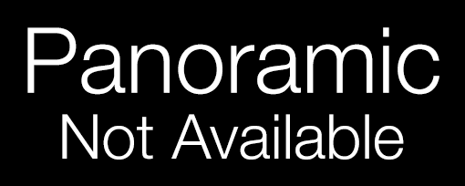 No Panoramic Version Available of The New York Times Framed Photos