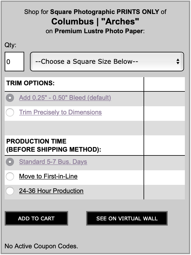 screen-shot of photographic paper prints only upgrades