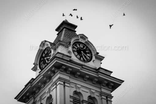 Athens Black and White Photography of Birds Fly Around the Athens County Courthouse Birds Fly Around the Athens County Courthouse -- Athens Black and White Photography