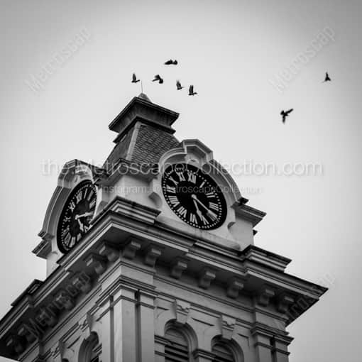 Matte Black WOOD Framed Black and White Athens Photograph: Birds Fly Around the Athens County Courthouse in a Square Matte Black Wood Frame