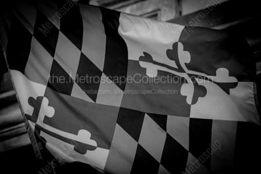 The Maryland Flag on Baltimore City Hall -- Baltimore Black and White Photos