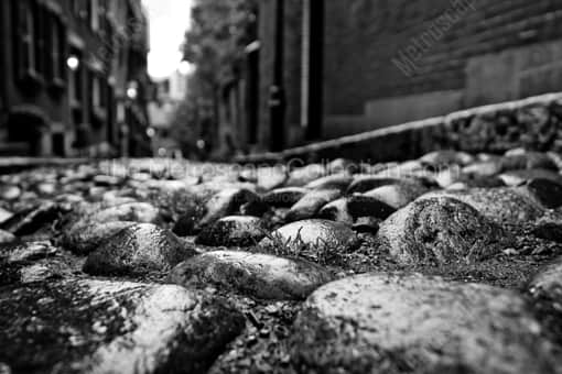 The Cobblestones on Acorn Street -- Boston Black and White Photography