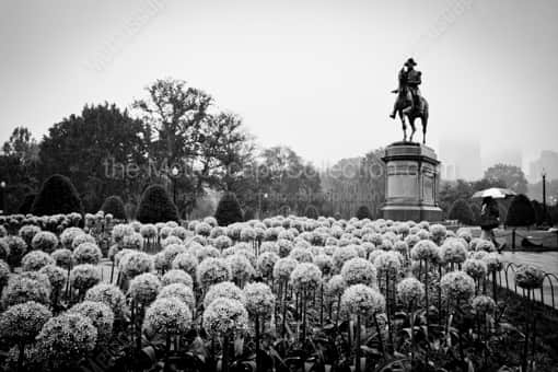 The George Washington Equestrian Statue in a Rainy Public Garden -- Boston Black and White Photography