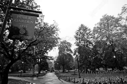Boston Public Garden -- Boston Black and White Photography