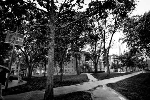 Harvard Yard -- Boston Black and White Photography