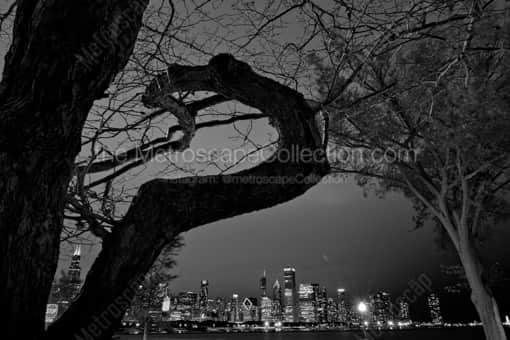 Chicago Black and White Photography of The Chicago Skyline from the Shedd Aquarium The Chicago Skyline from the Shedd Aquarium -- Chicago Black and White Photography