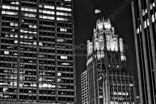 Tribune Tower from Columbus Drive -- Chicago Black and White Photography