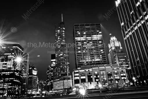 The University of Chicago -- Chicago Black and White Photography