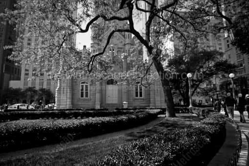 Spring in Chicago -- Chicago Black and White Photography