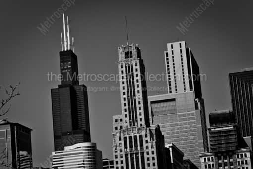 Chicago Black and White Photography of The Sears Tower from Daley Plaza in Grant Park The Sears Tower from Daley Plaza in Grant Park -- Chicago Black and White Photography